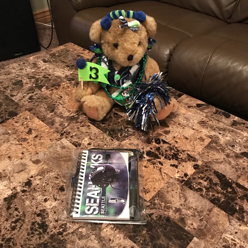 *Seattle Seahawks Binder & Pen in Plastic Carrier*